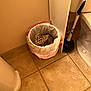 kitten, cat, trash_bin, bathroom, tile_floor, plunger, toilet, corner, curious, pet, small, cozy, indoor, animal, fur, whiskers, ears, looking_up, cute, resting