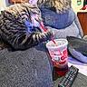 cat, cats, tabby, fluffy, long_hair, pet, animal, sitting, couch, living_room, kitchen, drink, cup, straw, remote_control, movie_night, indoors, furniture, funny, portrait