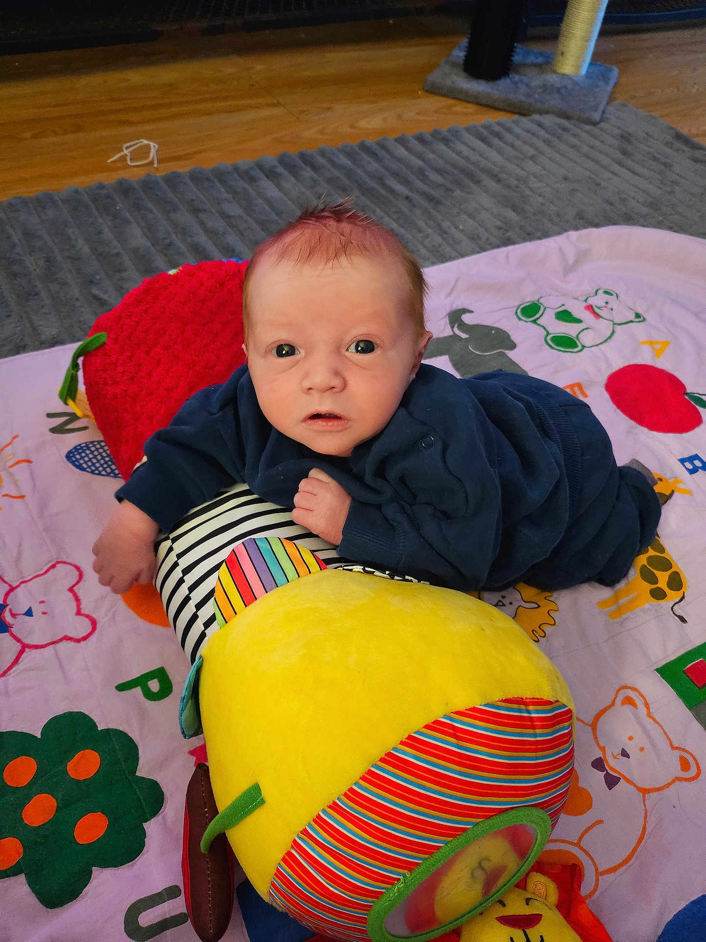 Rhydian is registered to the contest to win money with this photo: baby, child, infant, plush_toy, play_mat, colorful, face, eyes, clothing, floor, wooden_floor, pattern, soft_toy, toddler, indoor, person, cute, lying, hand, expression