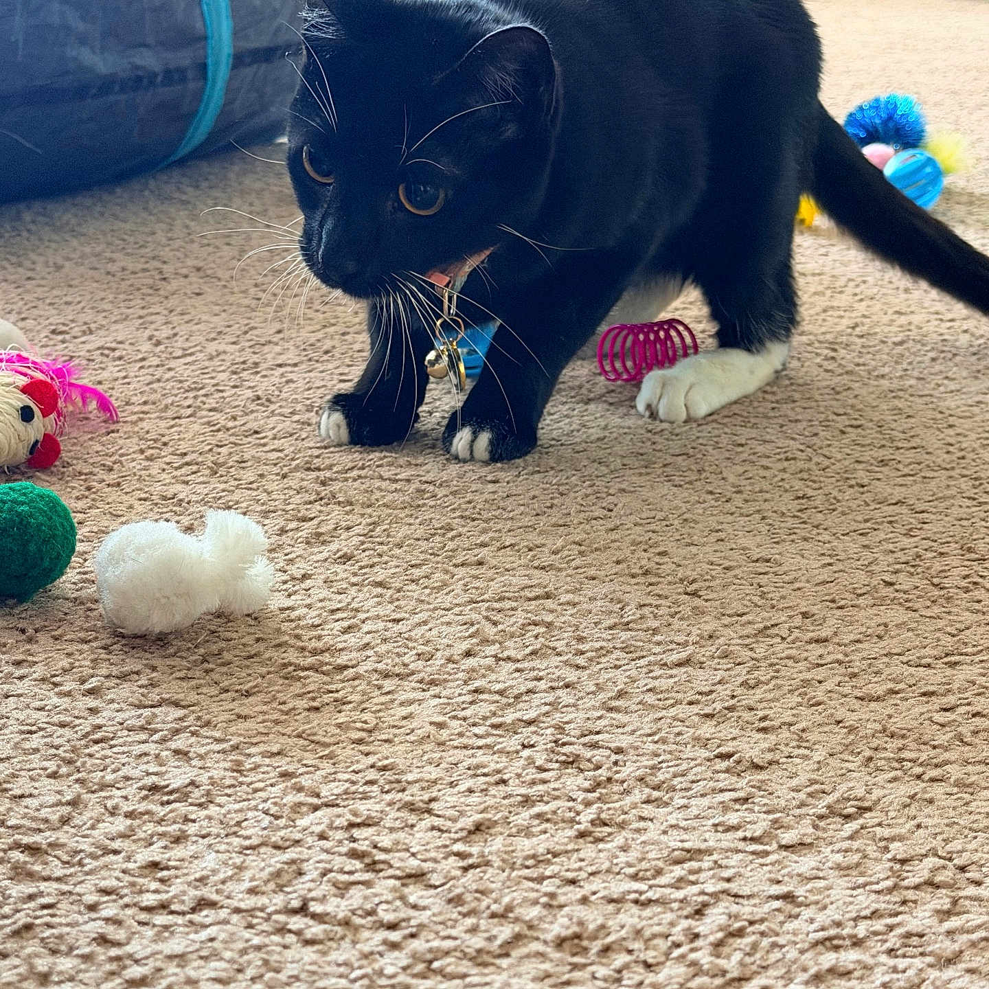 Mew