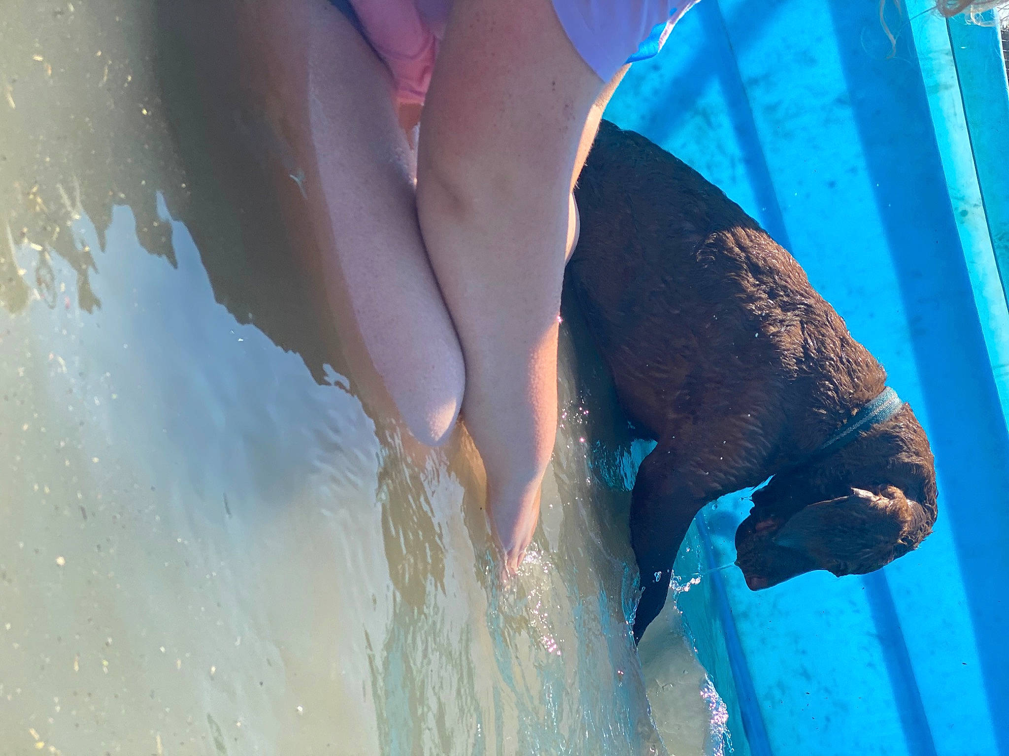 Axel joined the competition — help win amazing prizes! blue, fawn, foot, human_leg, leg, turquoise, water