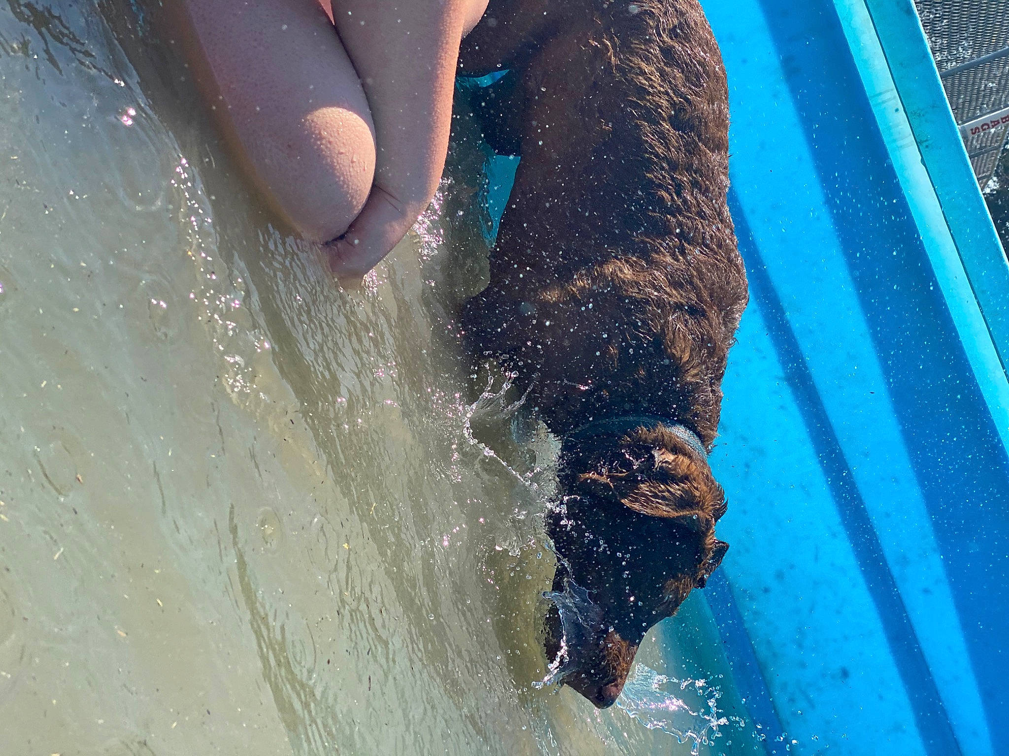 Axel joined the competition — help win amazing prizes! finger, hand, leisure, recreation, water