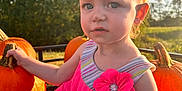 Gracelynn is registered to the contest to win money with this photo: child, toddler, pink_dress, flower, pumpkin, outdoor, sunlight, nature, greenery, grass, trees, blue_sky, shoes, curious, face, person, autumn, fall, daylight, portrait