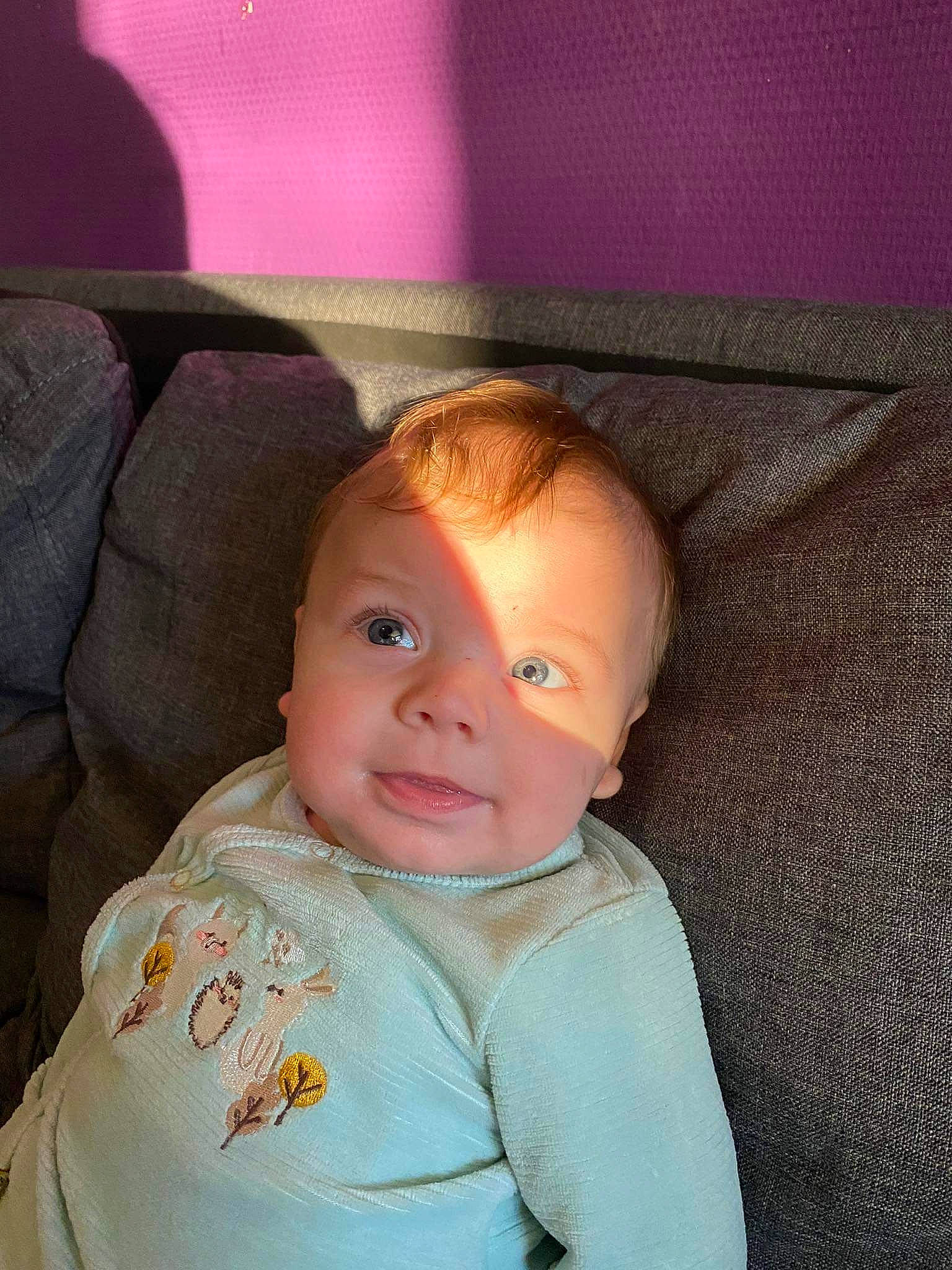 Wayden participe au concours pour gagner de l'argent avec cette photo : baby, cheek, chin, comfort, eye, eyebrow, face, flash_photography, hair, happy, head, iris, lip, mouth, neck, nose, person, shoulder, skin, smile