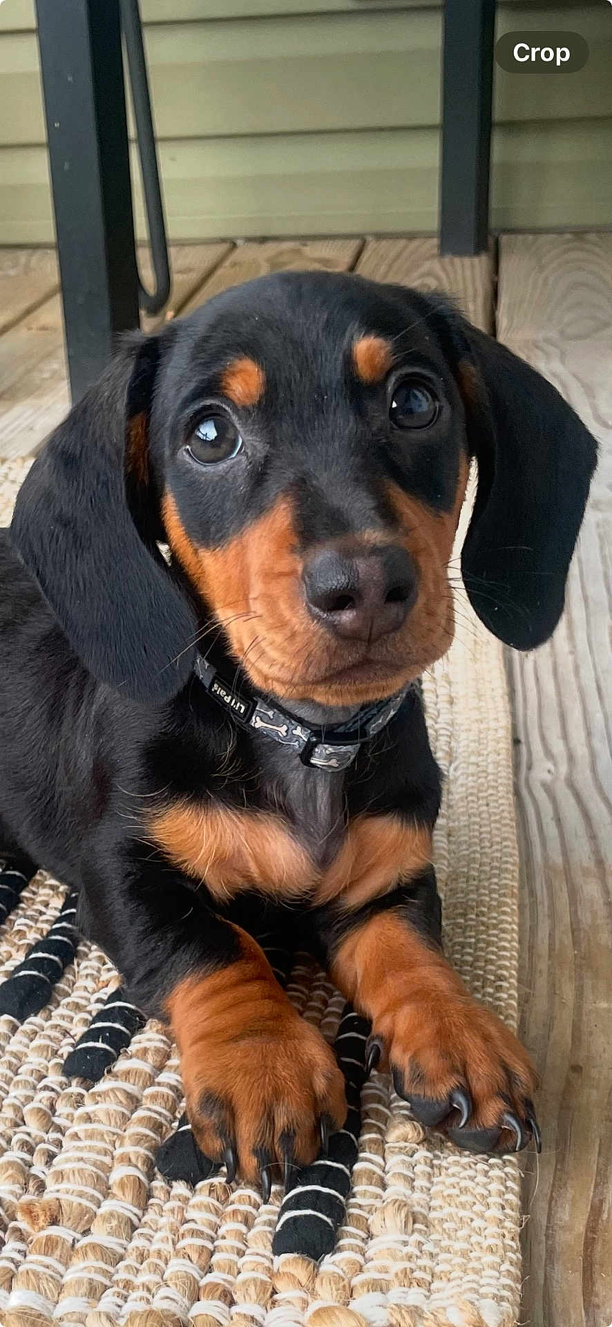 Oscar