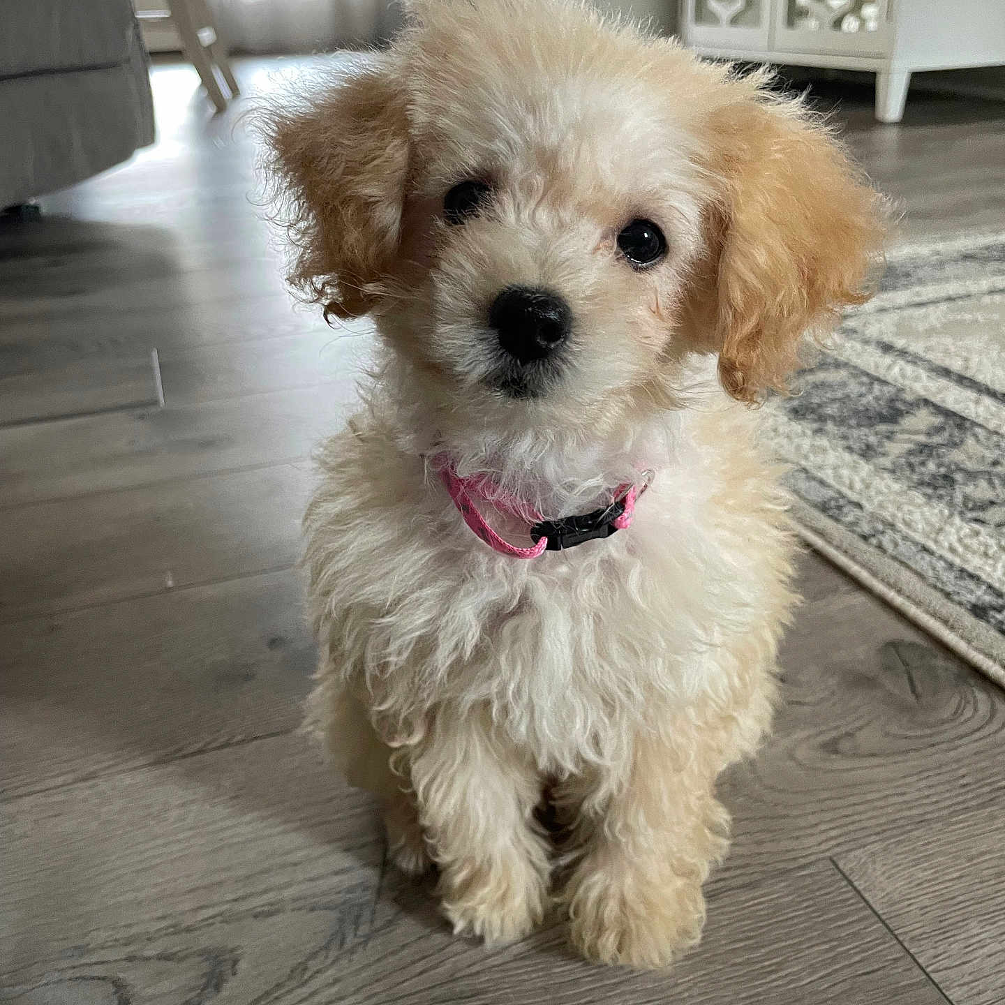 Ellie