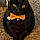 Figaro Leslie