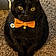 Figaro Leslie