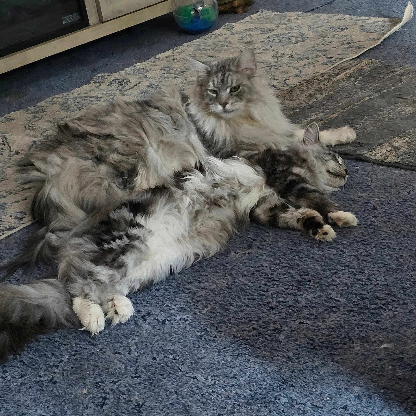 Boo Boo And Yogi