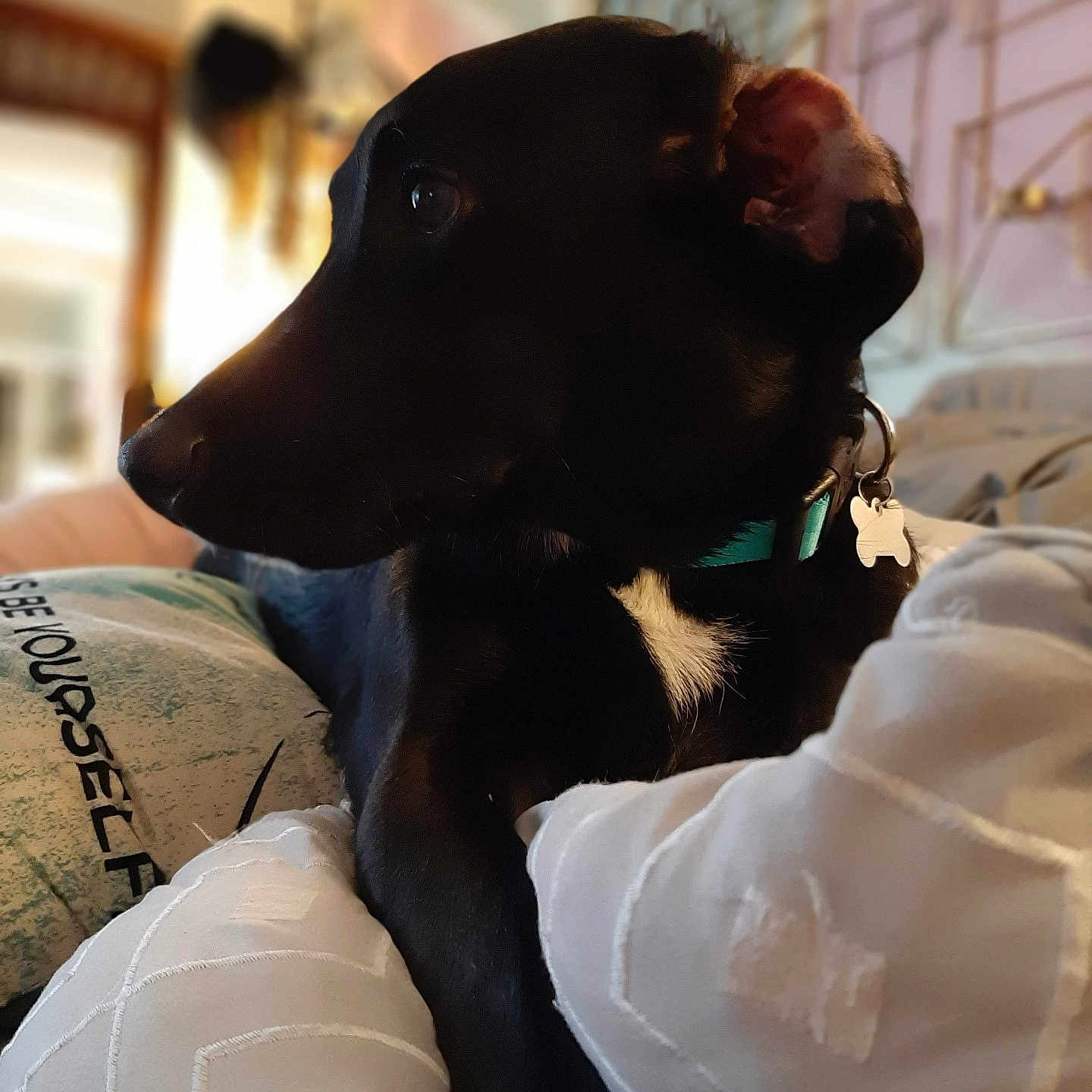 Max