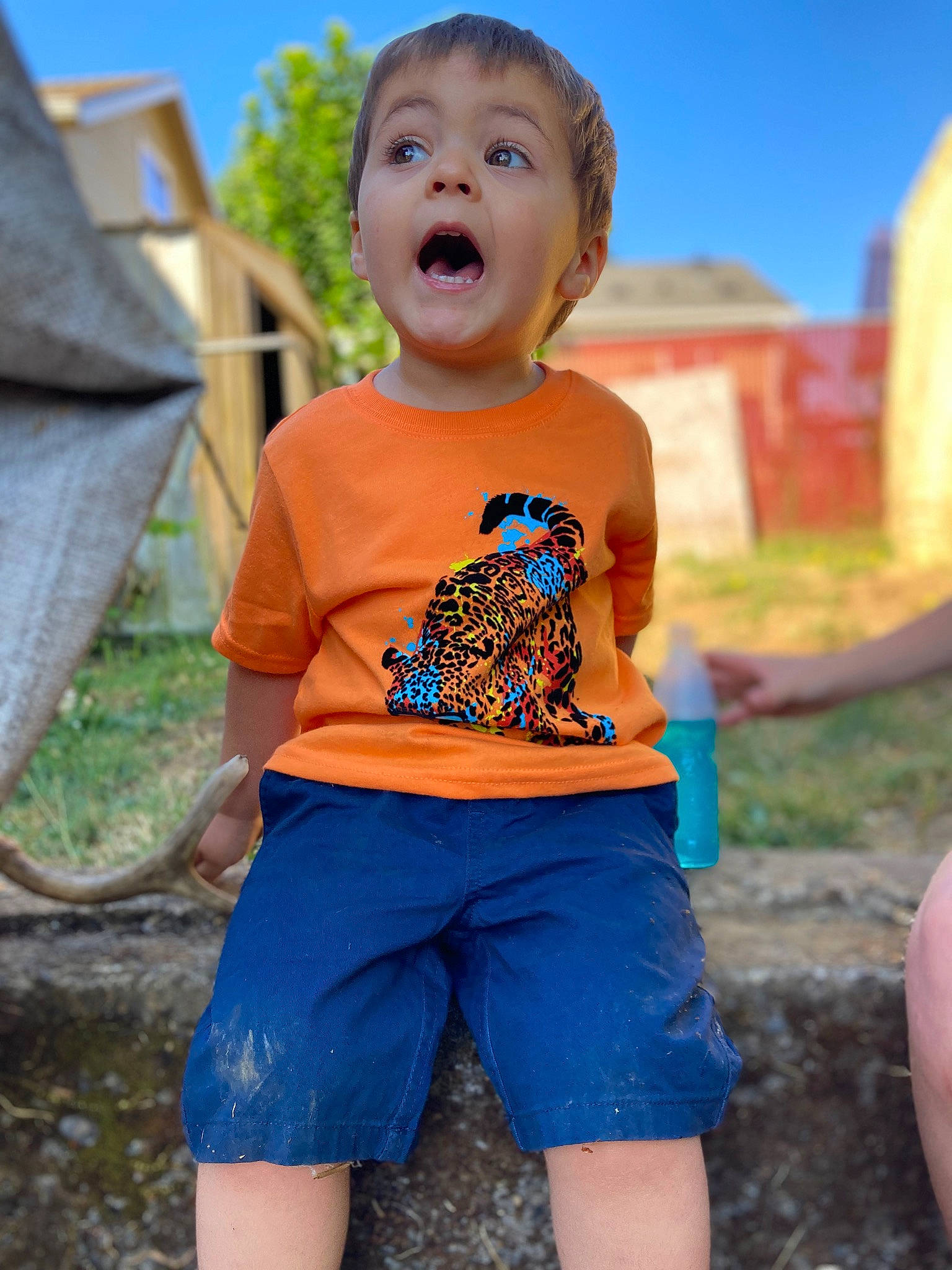 Ethan is registered to the contest to win money with this photo: azure, baby_toddler_clothing, blue, electric_blue, fun, grass, happy, leisure, people_in_nature, person, photograph, plant, recreation, shorts, sky, sleeve, street_fashion, summer, surprise, t_shirt