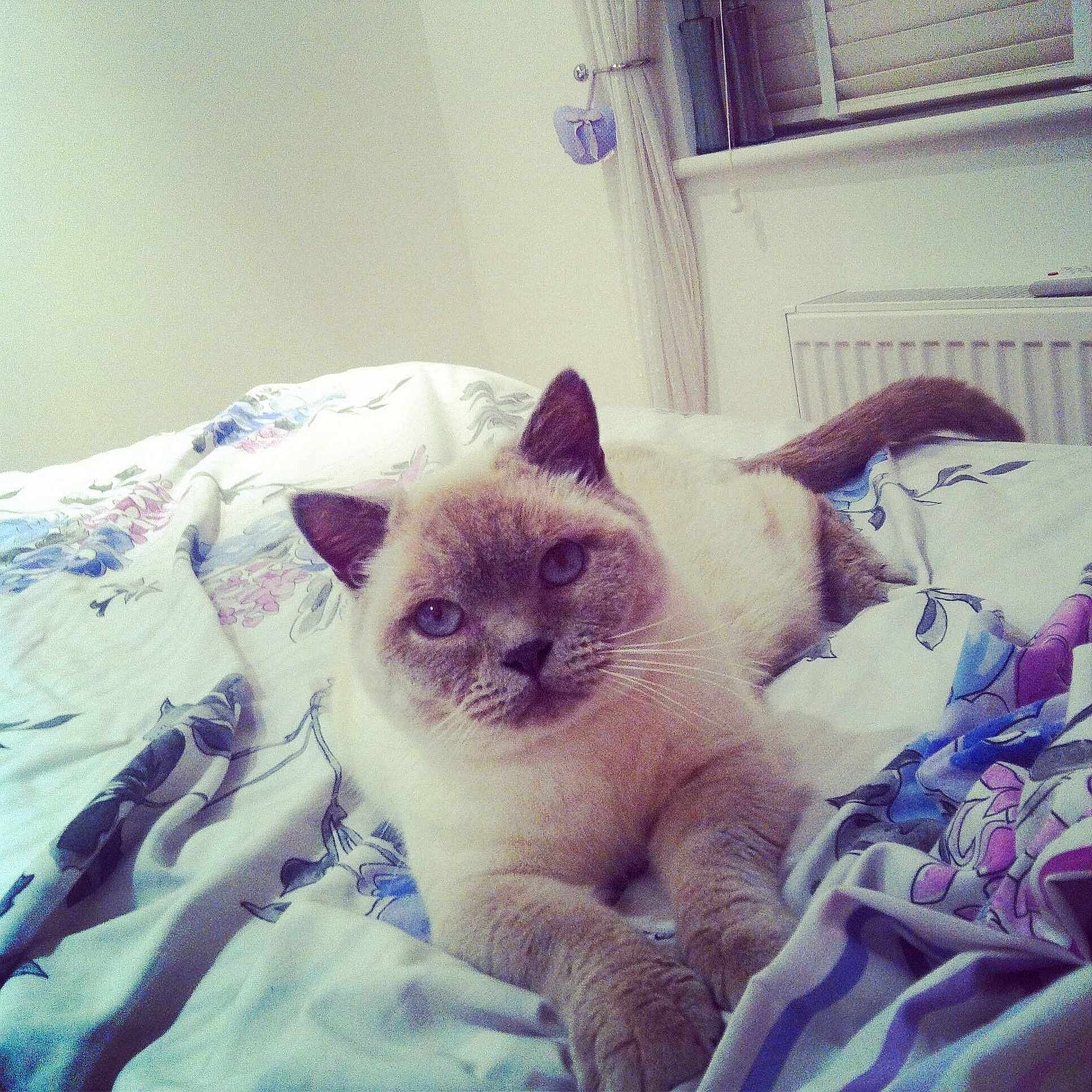 Jasper is registered to the contest to win money with this photo: