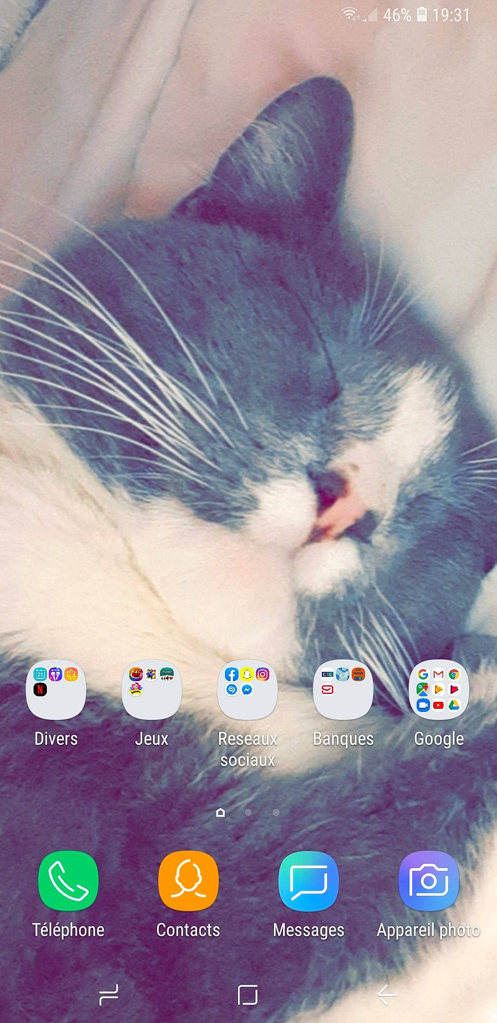 Nala participe au concours pour gagner de l'argent avec cette photo : carnivore, cat, domestic_short_haired_cat, european_shorthair, eye, felidae, fur, kitten, photo_caption, photography, screenshot, small_to_medium_sized_cats, snout, tail, whiskers