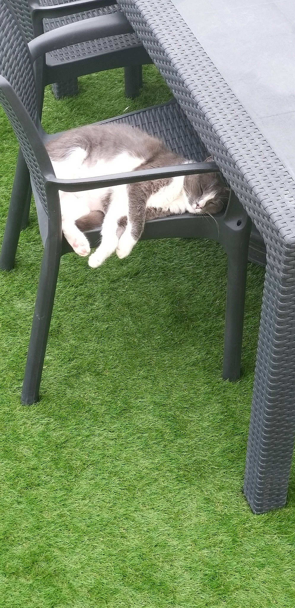 Nala participe au concours pour gagner de l'argent avec cette photo : chair, coffee_table, desk, furniture, grass, lawn, outdoor_bench, outdoor_furniture, outdoor_table, plant, stool, table, wicker