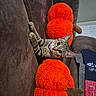 animal, autumn, brown_couch, cat, couch, cozy, curious, cute, decor, fall, feline, indoor, looking, orange_pumpkin, pet, plush_toy, small_pet, soft_toy, striped, tabby