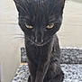 Celeste is registered to the contest to win money with this photo: black_cat, cat, feline, whiskers, close_up, portrait, sitting, granite_surface, paws, yellow_eyes, stare, ears, fur, domestic_cat, pet, indoor, looking_down, marble_texture, concrete_wall, curious