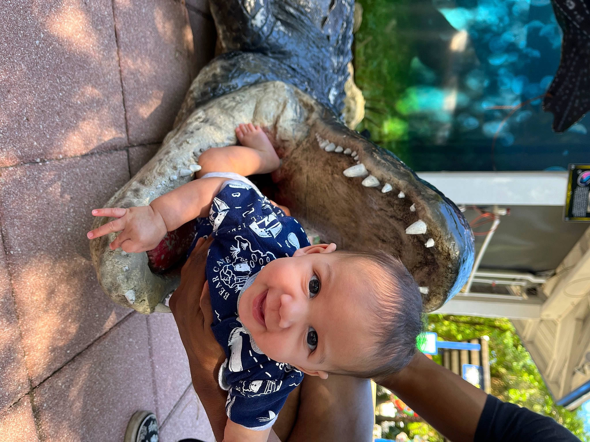 Jonah joined the competition — help win amazing prizes! baby, child, eyewear, fashion_accessory, fun, grass, happy, human_leg, joy, leisure, person, recreation, reptile, sitting, sunglasses, toddler, tree, wheel