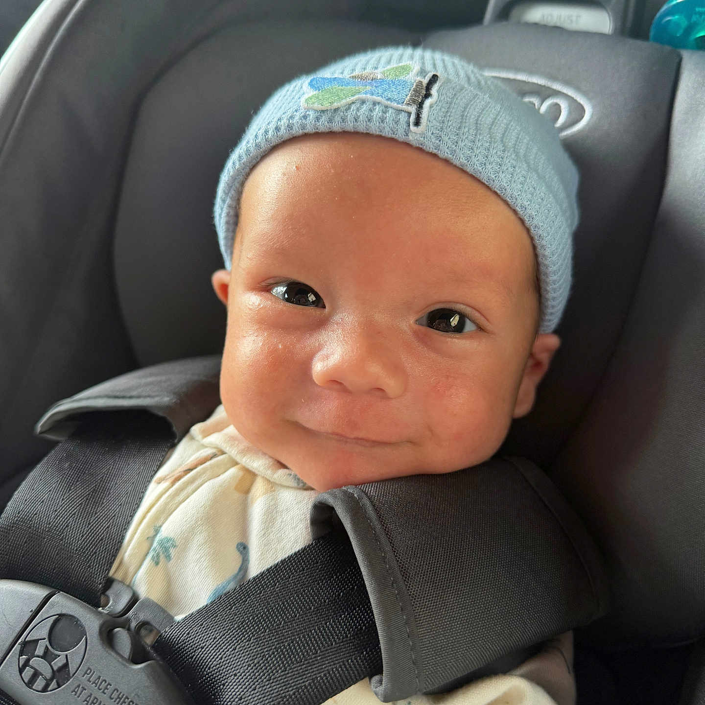 Sebastian joined the competition — help win amazing prizes! baby, infant, car_seat, blue_hat, smile, child, face, seatbelt, clothing, cute, newborn, headwear, straps, safety, portrait, indoors, closeup, person, young, happy