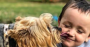 Bruno joined the competition — help win amazing prizes! animal, blurred_background, boy, child, collar, dog, face, garden, grass, gray_hoodie, happy, kiss, licking, long_hair, outdoor, park, pet, portrait, smile, terrier
