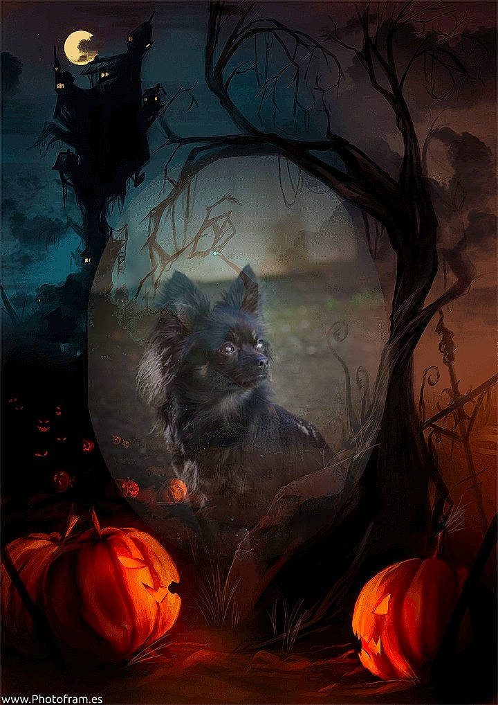 Oana participe au concours pour gagner de l'argent avec cette photo : art, calabaza, cg_artwork, creative_arts, cucurbita, darkness, drawing, gourd, heat, illustration, jack_o_lantern, light, painting, pumpkin, squash, tints_and_shades, tree, vegetable, visual_arts, winter_squash