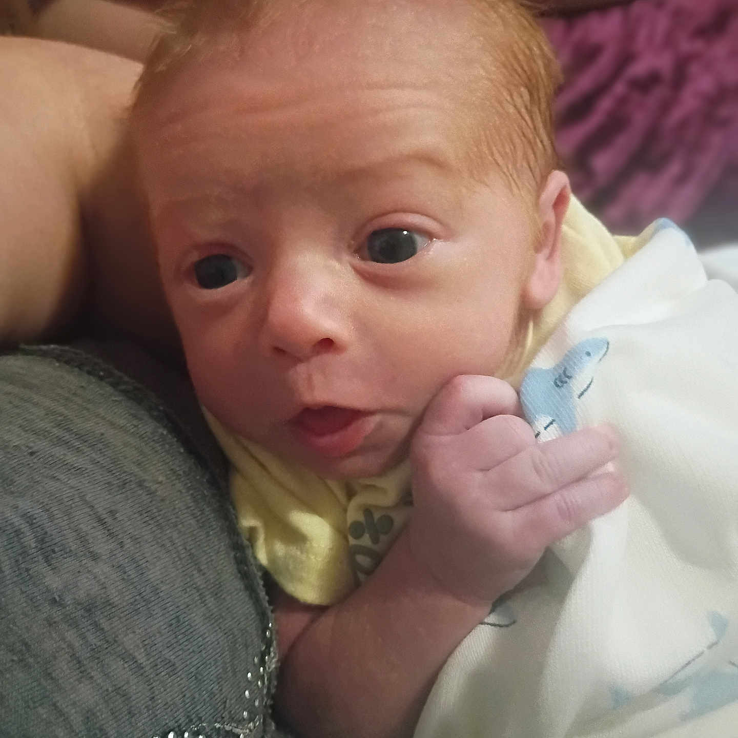 Owen