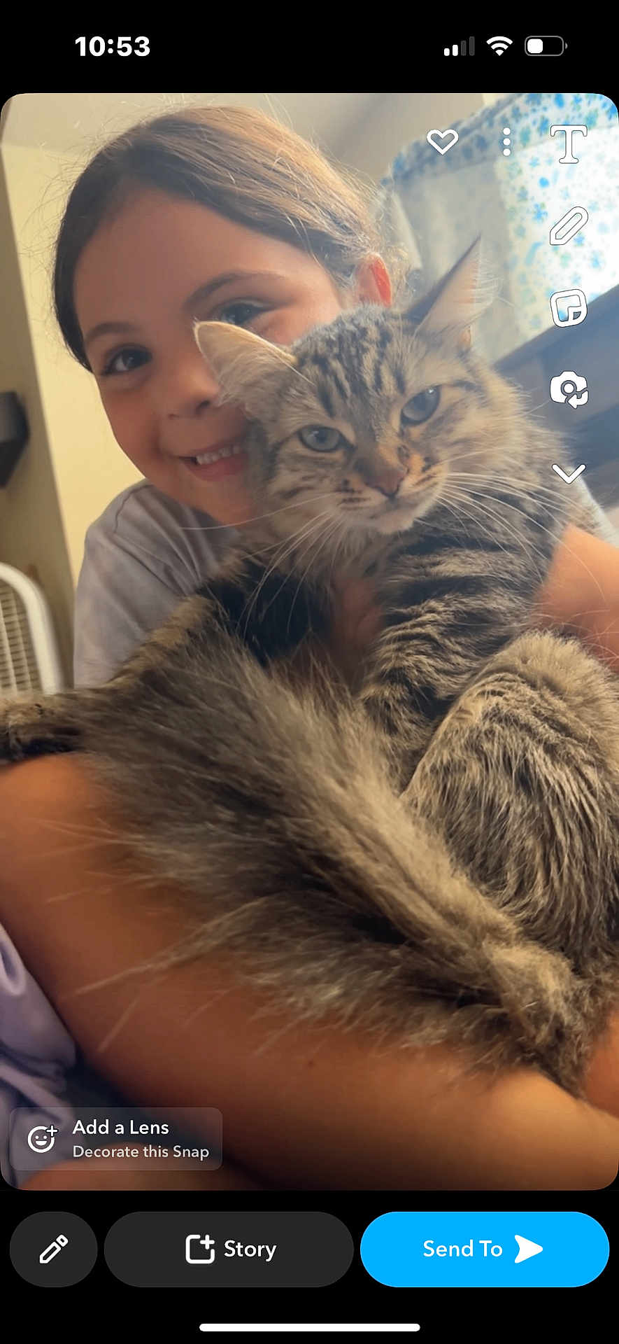 Rolo is registered to the contest to win money with this photo: child, cat, tabby_cat, smiling, indoor, holding, fluffy, face, portrait, cute, happy, young, pet, animal, feline, cozy, window, curtain, hair, skin