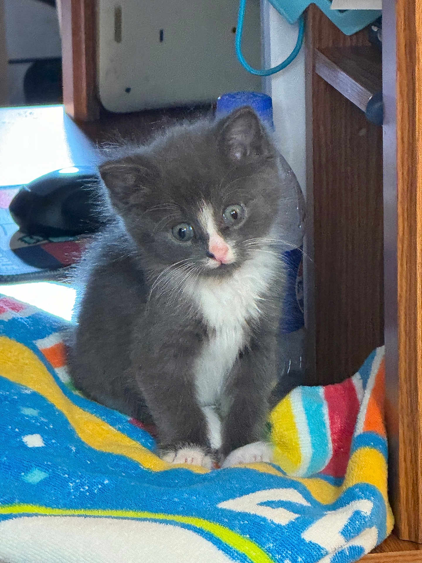 Peanut