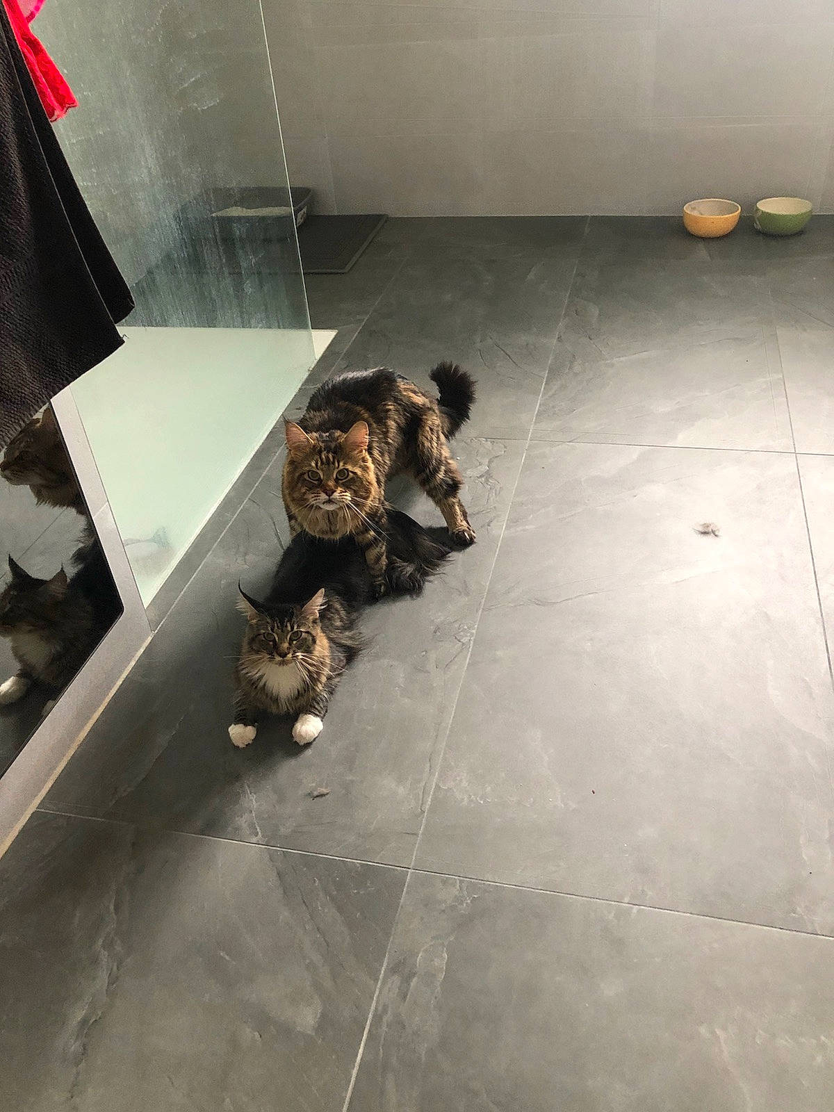 Doly participe au concours pour gagner de l'argent avec cette photo : floor, flooring, tile