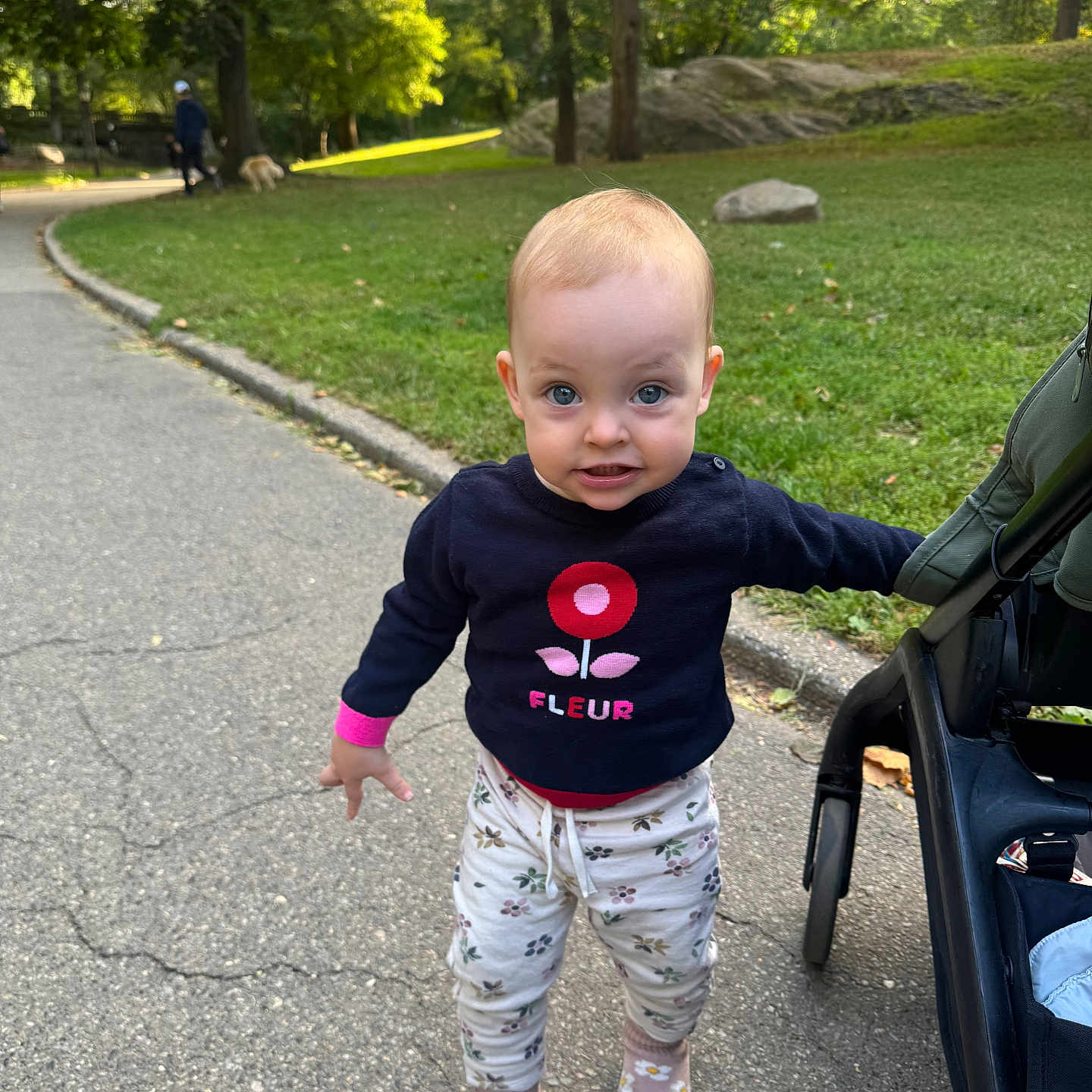 Mona is registered to the contest to win money with this photo: baby, blue_eyes, casual_clothing, child, curious, flower_pattern, grass, nature, outdoor, park, person, shoes, sidewalk, socks, stroller, sunlight, sweater, toddler, trees, walking