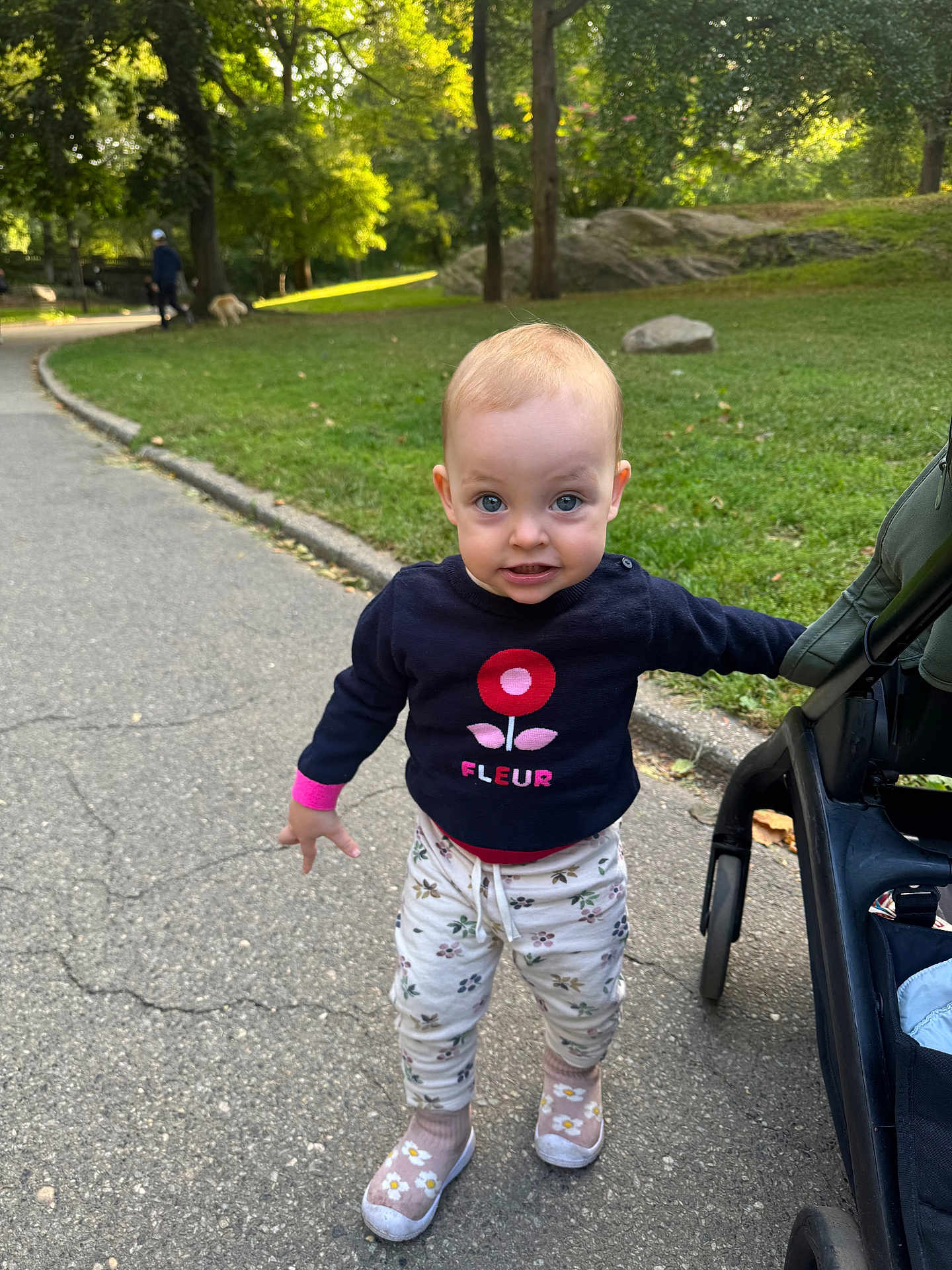 Mona is registered to the contest to win money with this photo: toddler, child, park, stroller, sidewalk, grass, trees, sunlight, walking, curious, blue_eyes, flower_pattern, socks, shoes, sweater, nature, outdoor, person, baby, casual_clothing