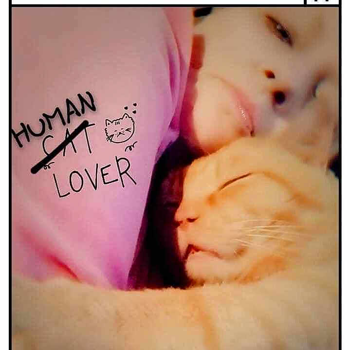 Meow-Meow joined the competition — help win amazing prizes! animal, baby, book, cat, clothing, cushion, face, handwriting, head, homedecor, kitten, person, pet, photography, portrait, publication, purple, sleeping, t_shirt, text