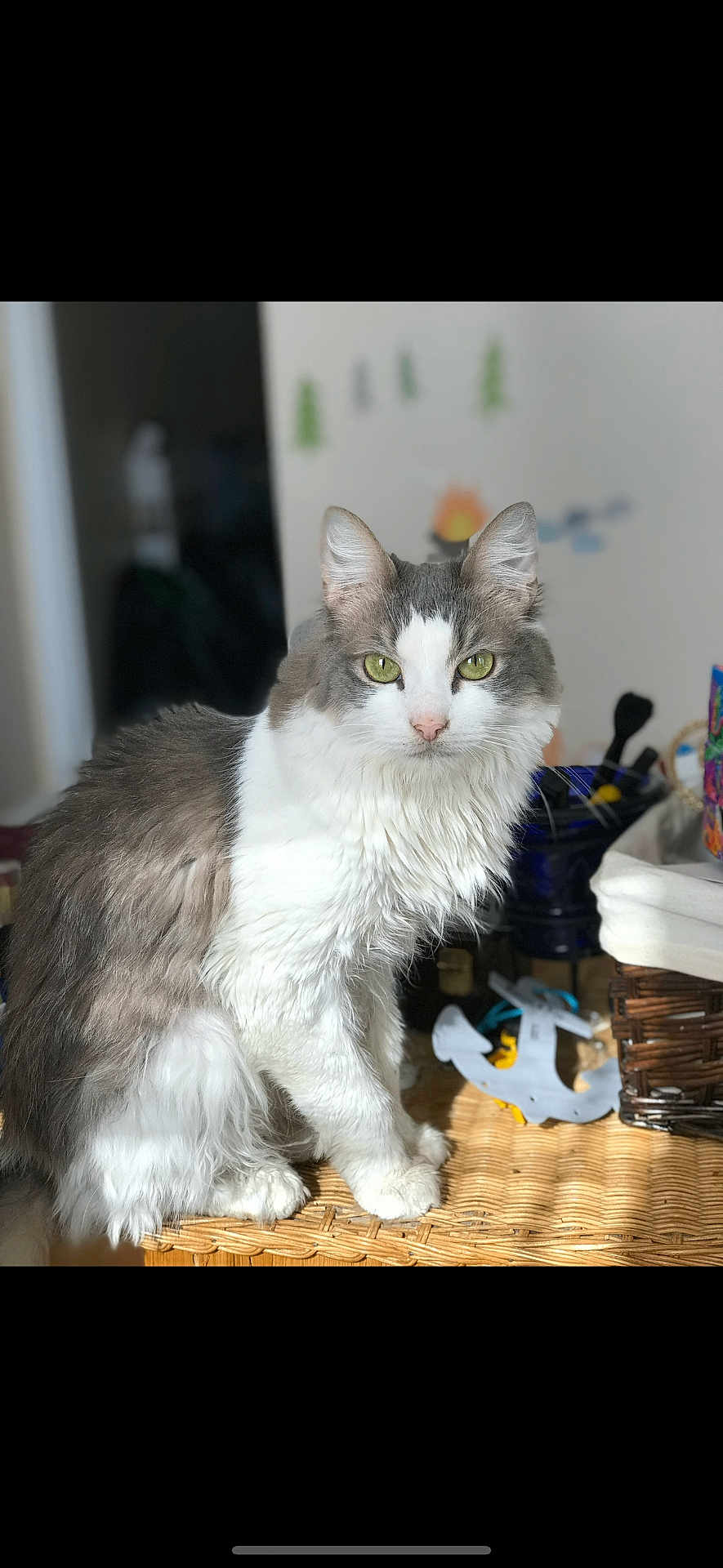Vinny