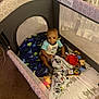 Major is registered to the contest to win money with this photo: baby, baby_boy, baby_toys, blanket, blanket_pattern, carpet, child, clothing, cute, dinosaur_pattern, floor, happy, indoor, infant, person, pillow, playpen, seated, smiling, toy