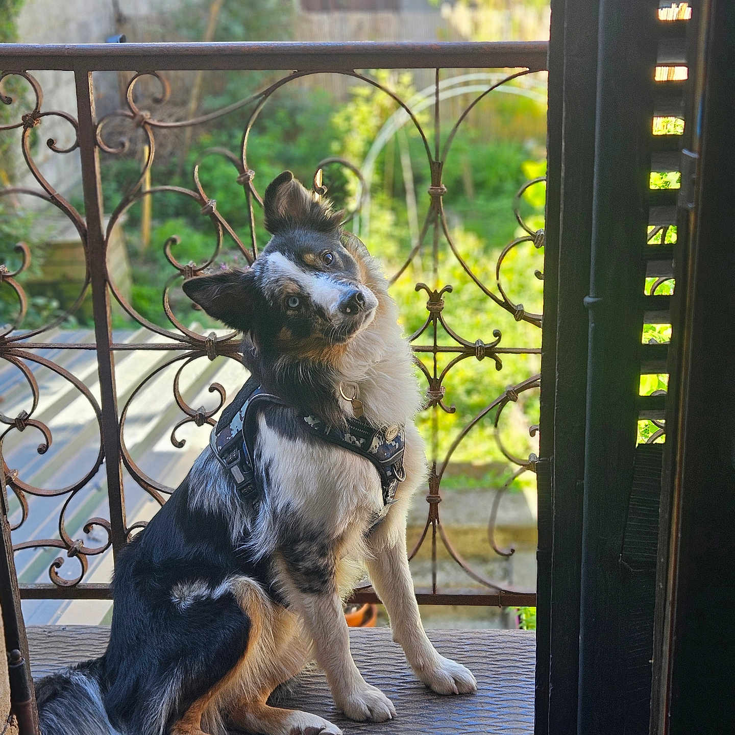 Silko