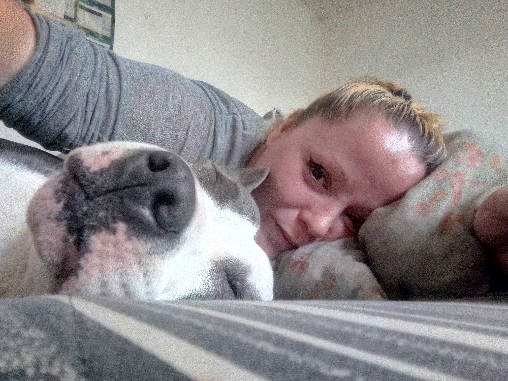 Ina a rejoint le concours — aidez-le/la à gagner de superbes lots ! baby, canidae, carnivore, child, companion_dog, dog, dog_breed, nap, non_sporting_group, nose, puppy_love, snout