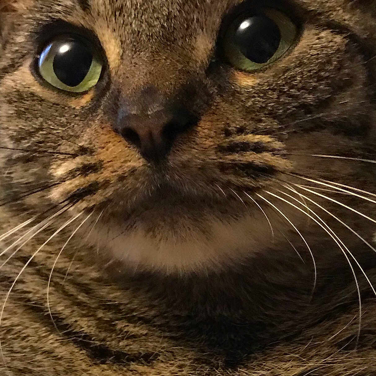 Peanut