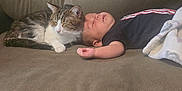 Luke joined the competition — help win amazing prizes! animal, baby, brown, cat, child, comfort, couch, cozy, cute, domestic, friendship, furniture, indoor, nap, person, pet, relaxation, resting, sleeping, soft