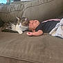 animal, baby, brown, cat, child, comfort, couch, cozy, cute, domestic, friendship, furniture, indoor, nap, person, pet, relaxation, resting, sleeping, soft