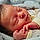 Landon