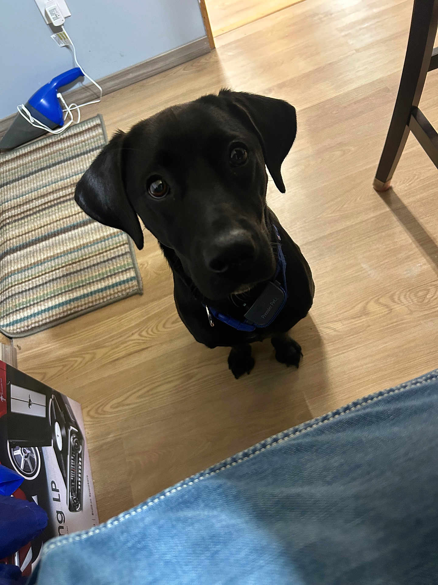 Ripley