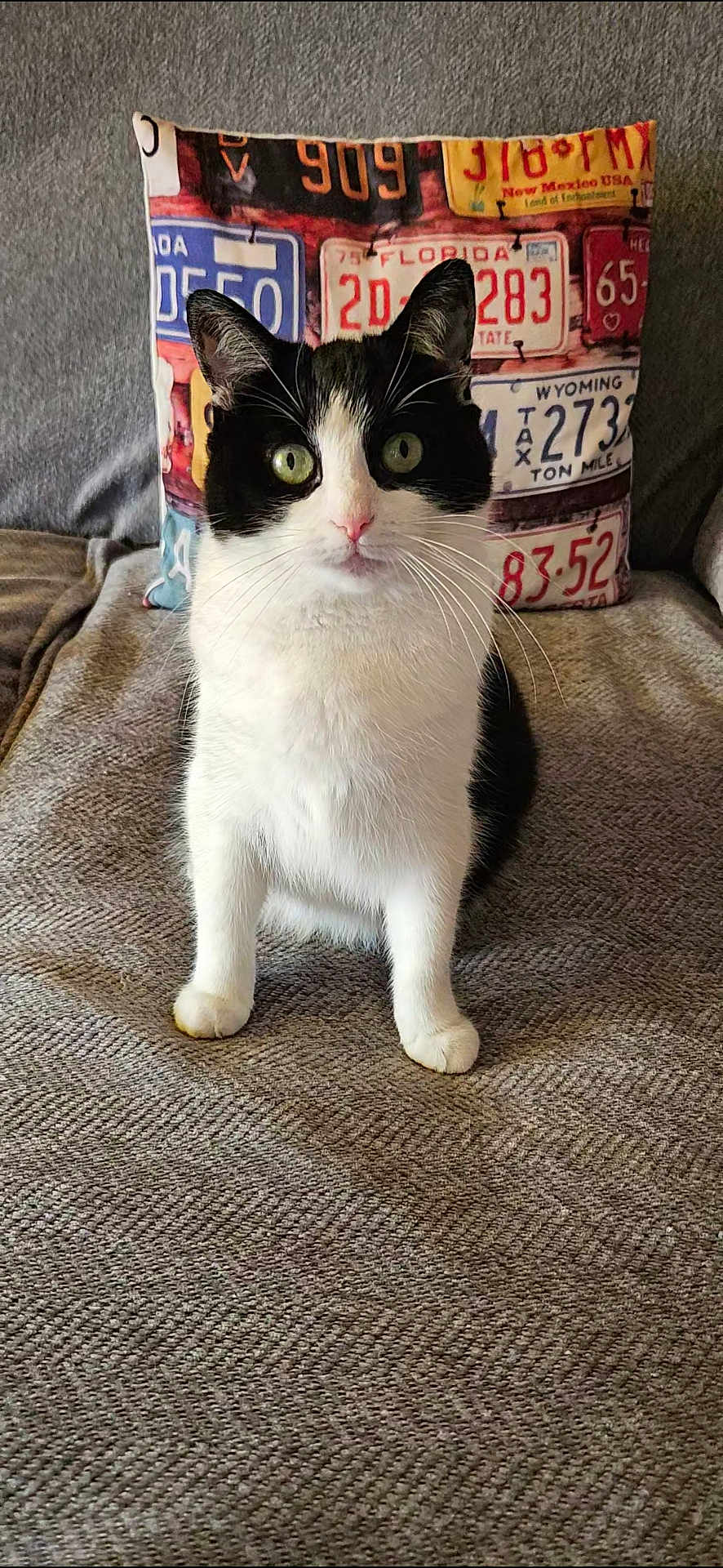Lilou