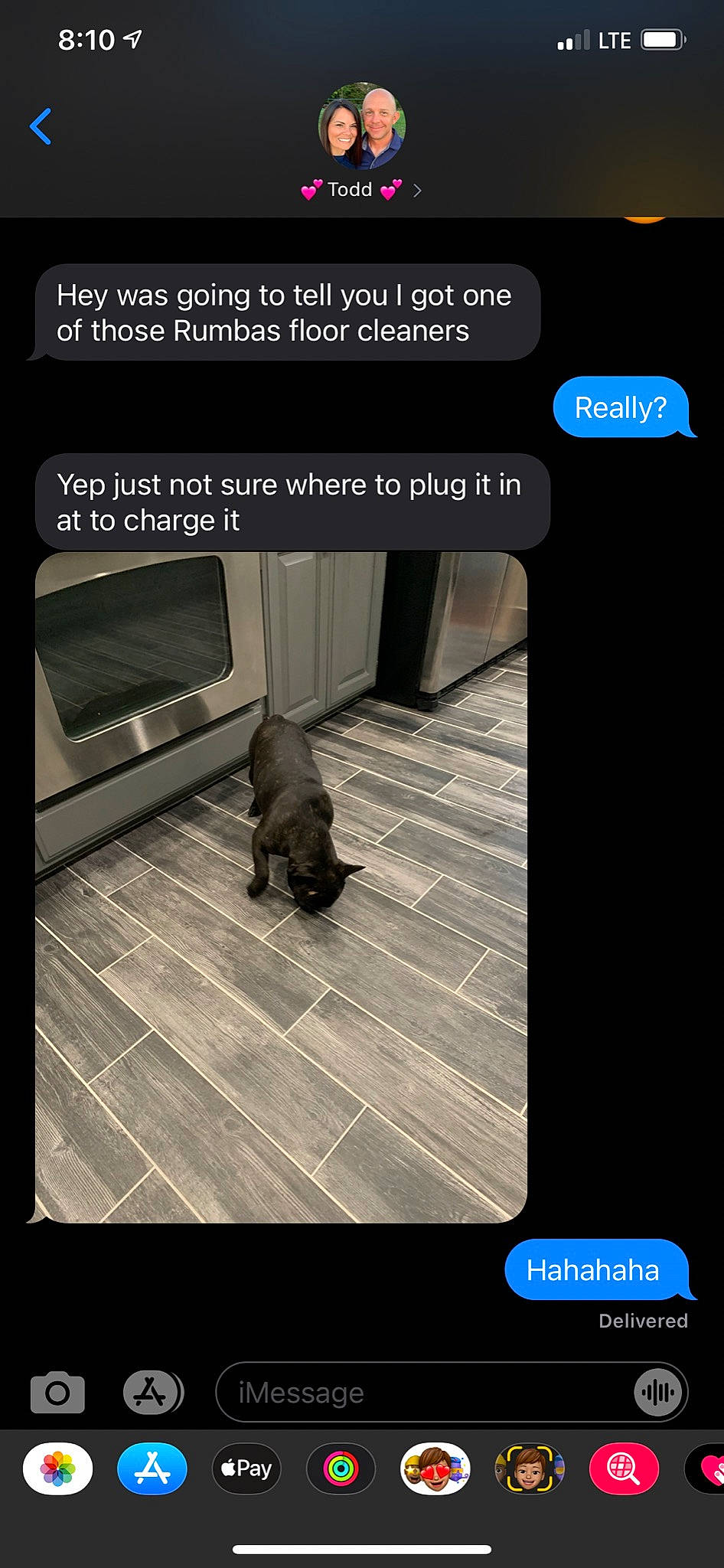 Molly is registered to the contest to win money with this photo: carnivore, companion_dog, darkness, dog, dog_breed, dog_supply, door, felidae, flooring, font, pet_supply, photo_caption, rectangle, room, screenshot, small_to_medium_sized_cats, sporting_group, toy_dog, vertebrate, wood