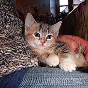 Ida participe au concours pour gagner de l'argent avec cette photo :