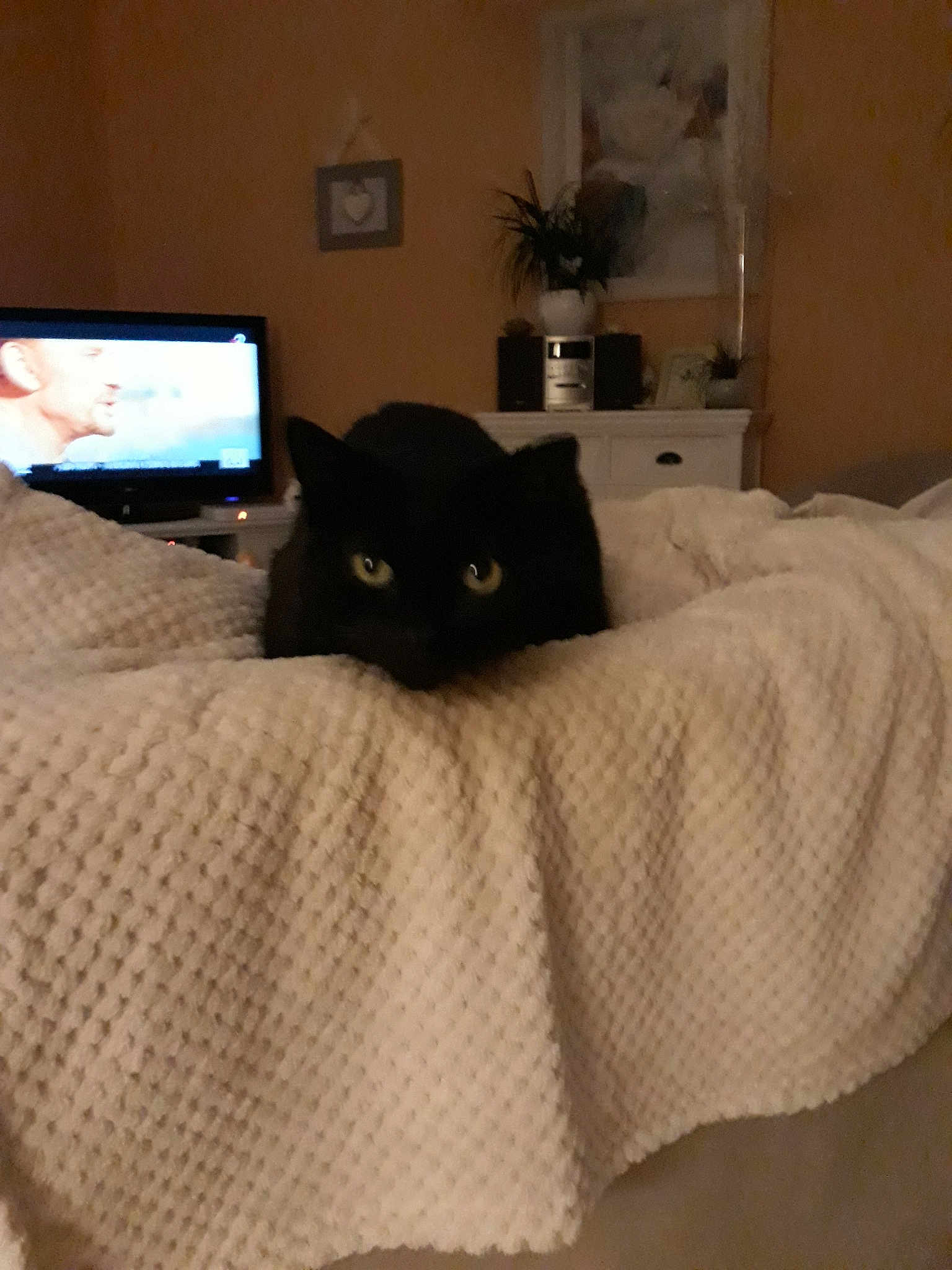 Blacky