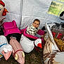 child, toddler, toy_wagon, inflatable_animals, pink, plaid_jacket, grass, tent, indoor, play, smiling, cute, farm_animals, inflatable_sheep, inflatable_pig, inflatable_goose, happy, casual_clothing, bottle, hay