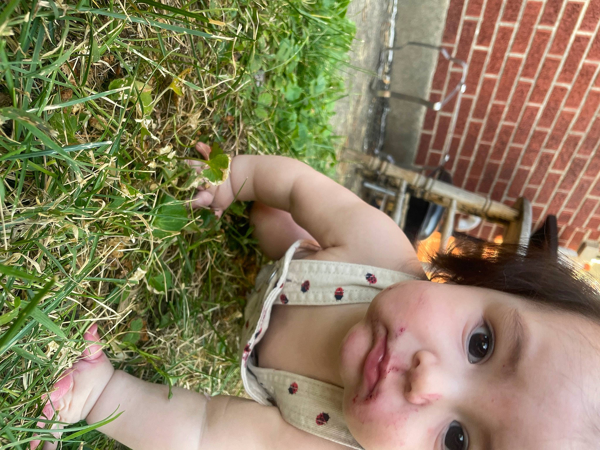 Anni joined the competition — help win amazing prizes! abdomen, baby, chest, child, eyelash, fawn, flesh, flowering_plant, grass, hat, human_leg, lip, people_in_nature, person, plant, portrait_photography, sitting, skin, toddler, toy