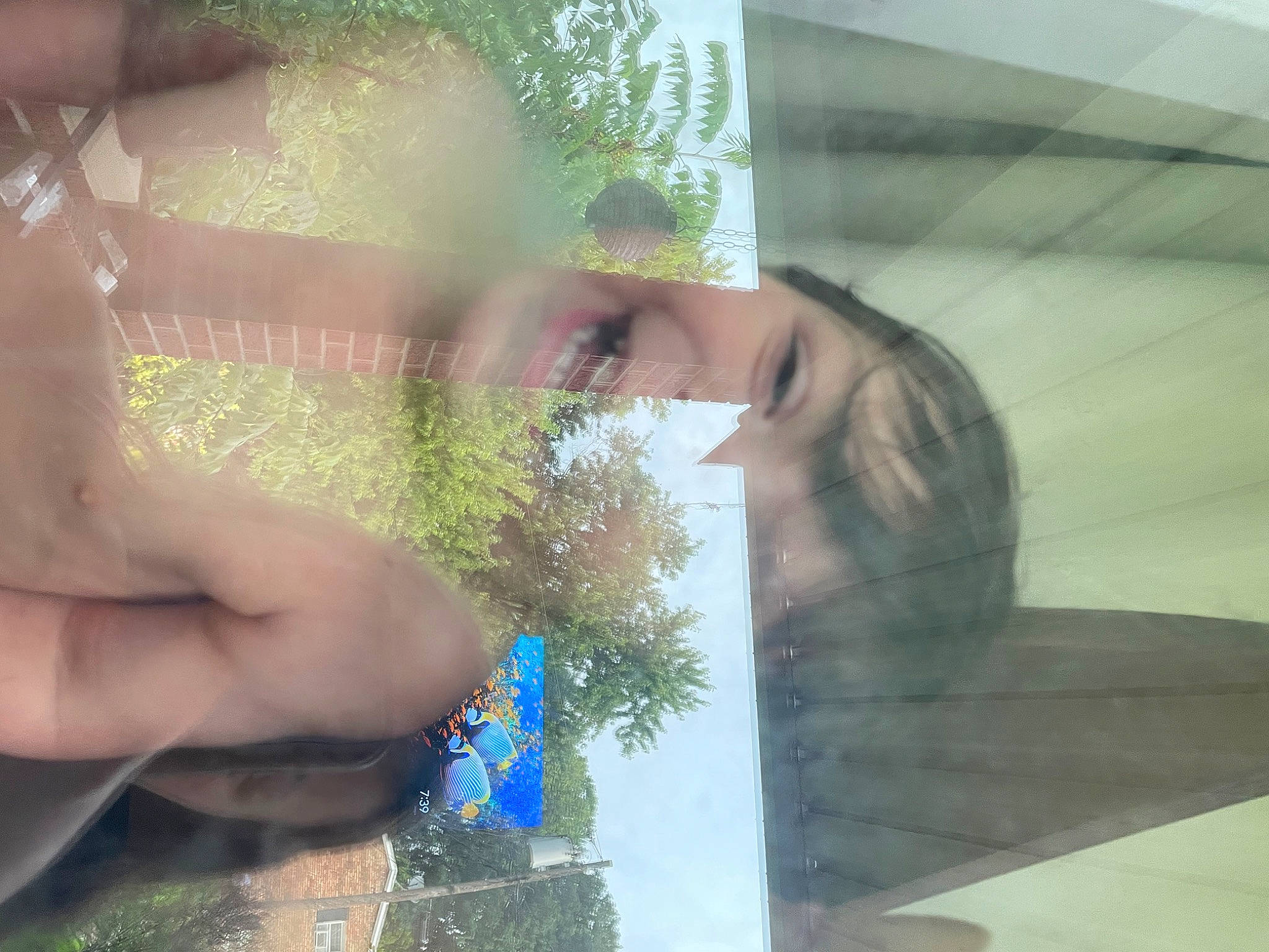 Mirio joined the competition — help win amazing prizes! adaptation, daytime, finger, gesture, glass, grass, hand, happy, leaf, material_property, morning, organism, paint, people_in_nature, person, plant, reflection, sunlight, tints_and_shades, transparent_material