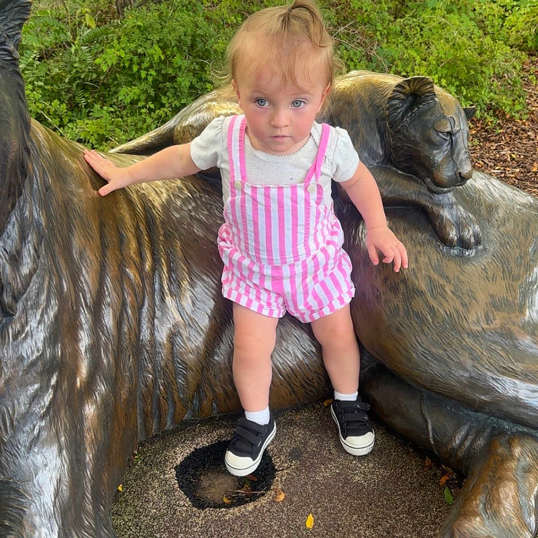 Virginia is registered to the contest to win money with this photo: bronze, child, clothing, curious, daylight, fence, greenery, hair, nature, outdoor, park, person, pink_stripes, shoes, sidewalk, socks, statue, tiger, toddler, tree