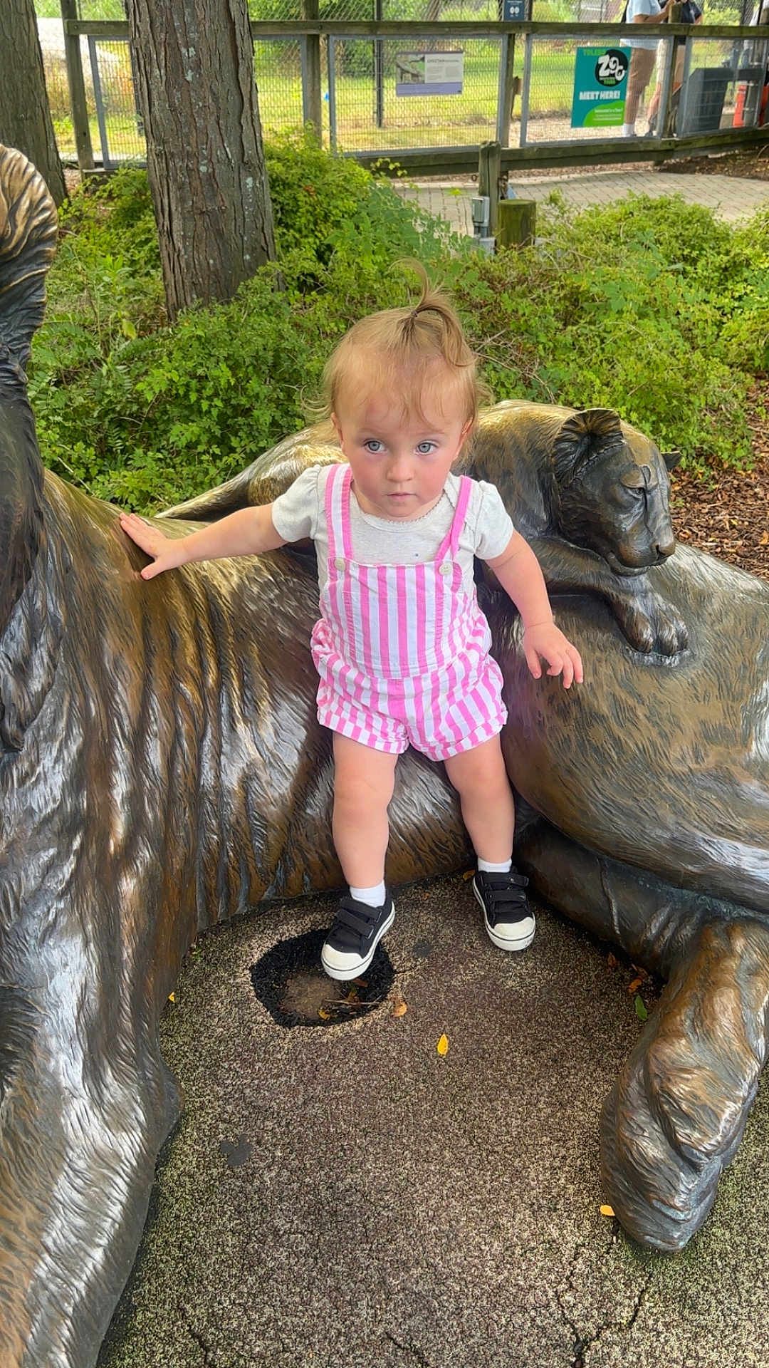 Virginia is registered to the contest to win money with this photo: toddler, child, statue, tiger, bronze, outdoor, greenery, tree, fence, curious, clothing, pink_stripes, shoes, socks, hair, sidewalk, nature, park, person, daylight