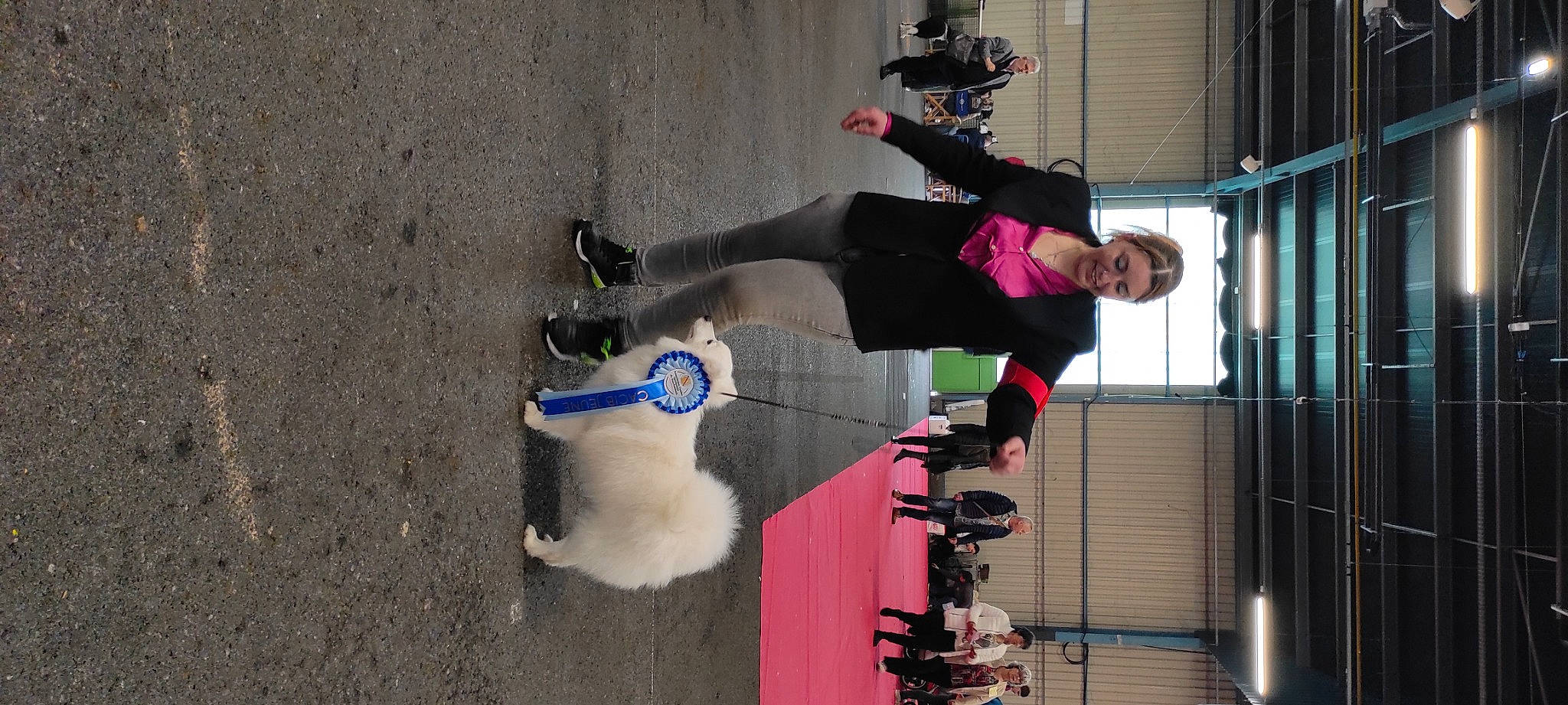 Ushaia participe au concours pour gagner de l'argent avec cette photo : canidae, carnivore, companion_dog, dog, dog_breed, dog_sports, dog_supply, fun, fur, individual_sports, leash, pedestrian, recreation, sporting_group, sports, walking_shoe